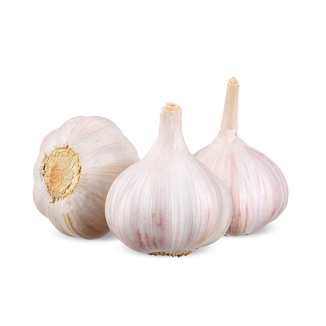 garlic